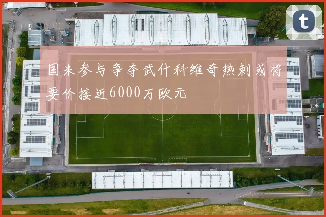 国米参与争夺武什科维奇热刺或将要价接近6000万欧元