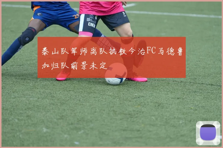 泰山队军师离队执教今治FC马德鲁加归队前景未定